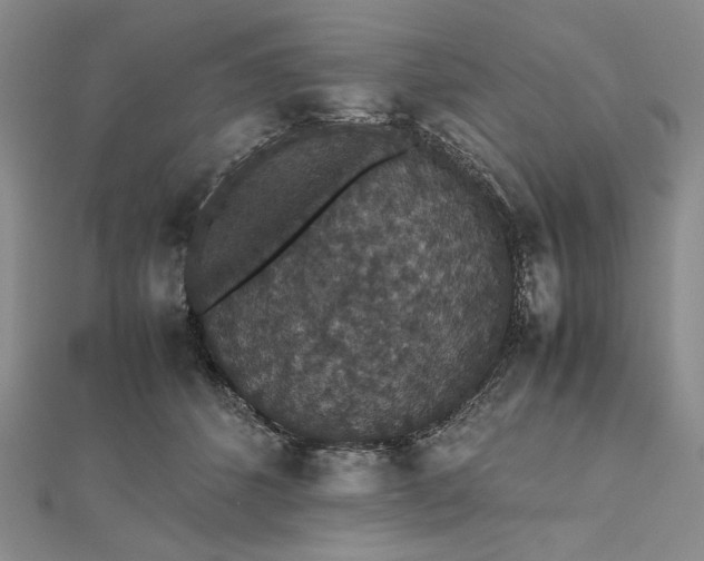 X0000112470512200908311352