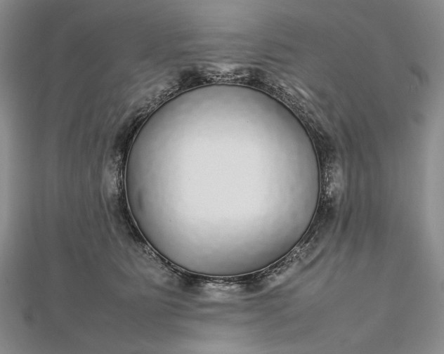 X0000112470515200908311352