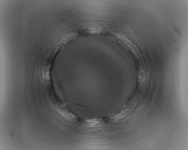 X0000112470516200908311352