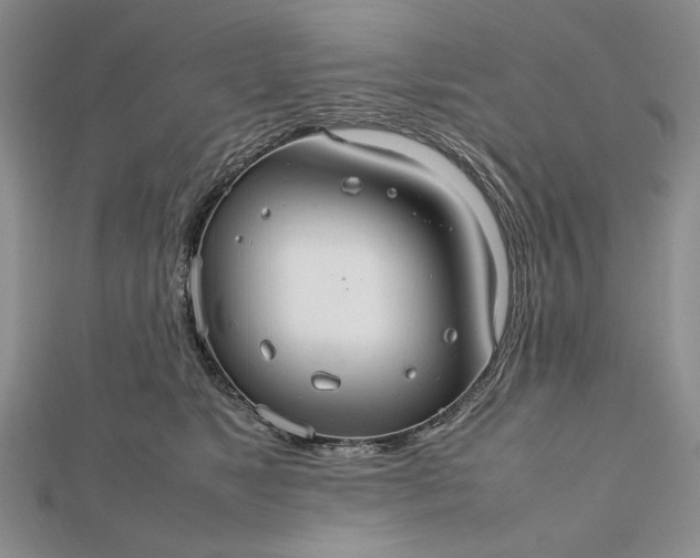 X0000112470517200908311352