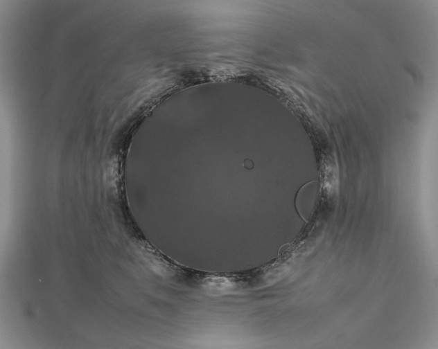 X0000112470519200908311352