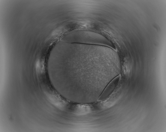 X0000112470520200908311352