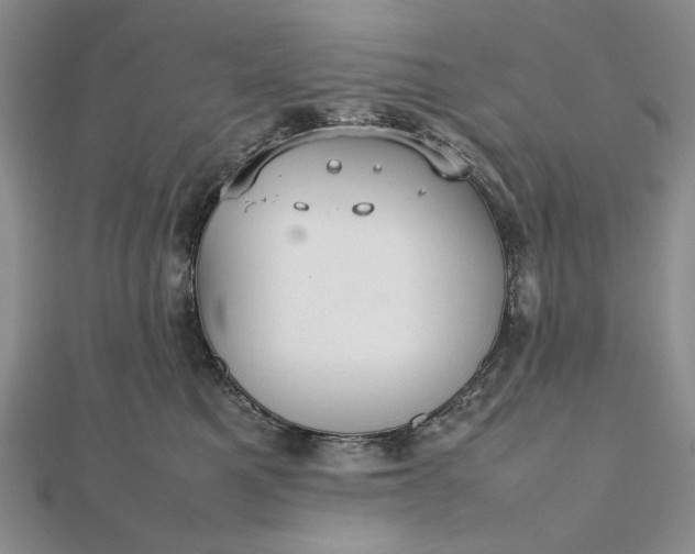 X0000112470521200908311352