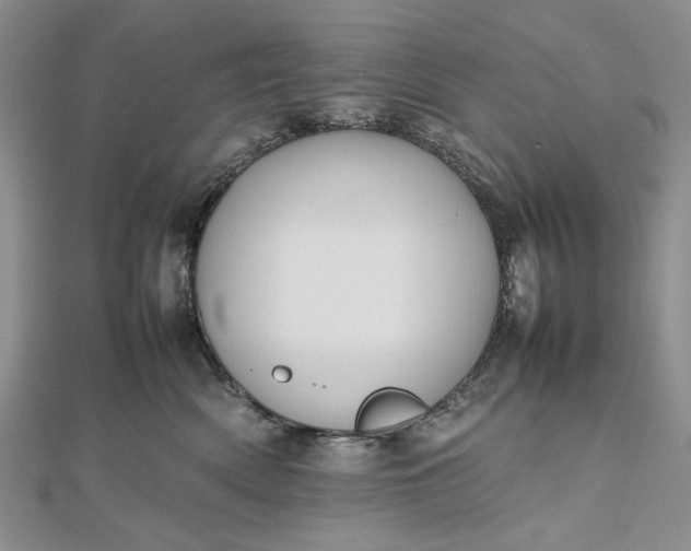 X0000112470522200908311352