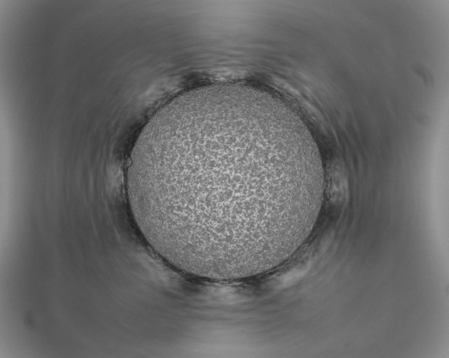 X0000112470523200908311352