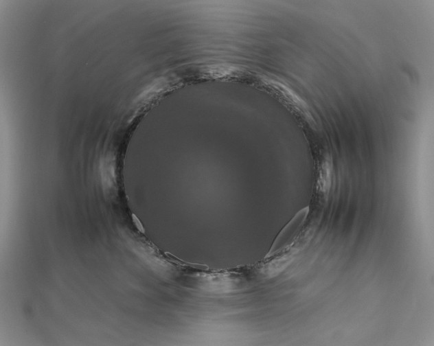 X0000112470524200908311352