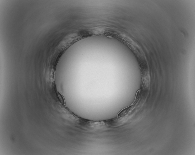 X0000112470525200908311352