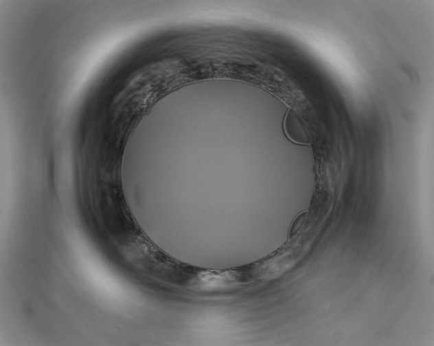 X0000112470526200908311352