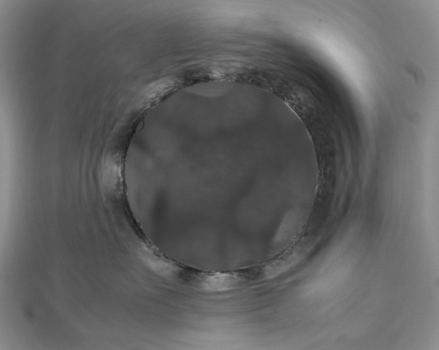 X0000112470527200908311352