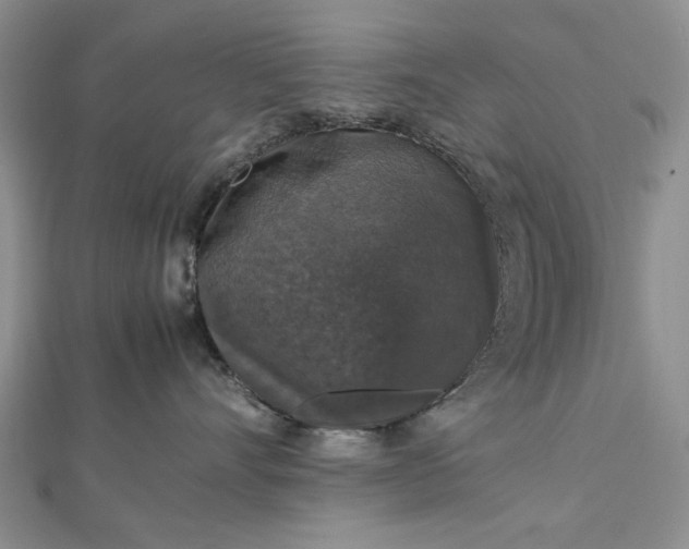 X0000112470528200908311352