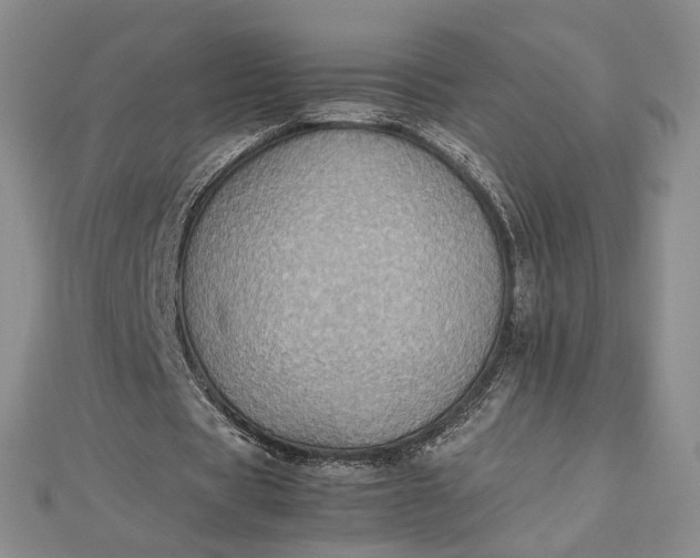 X0000112470529200908311352