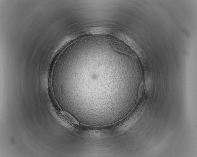 X0000112470530200908311352