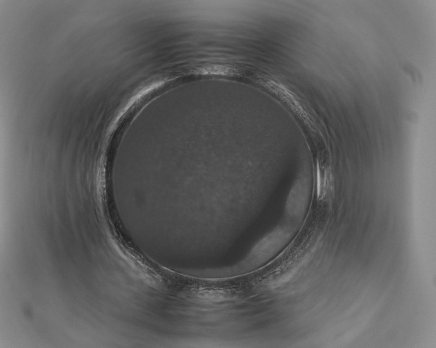 X0000112470531200908311352