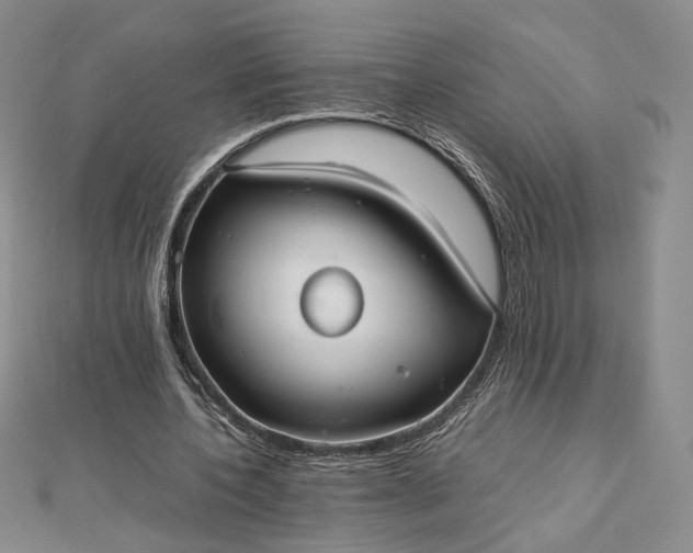 X0000112470532200908311352