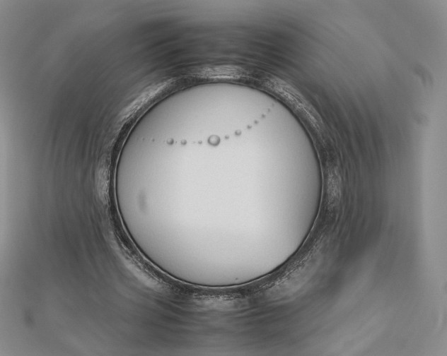 X0000112470533200908311352