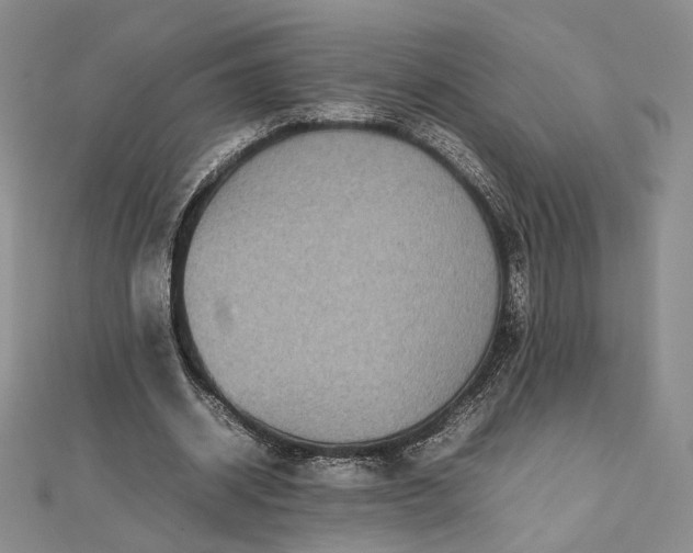 X0000112470534200908311352