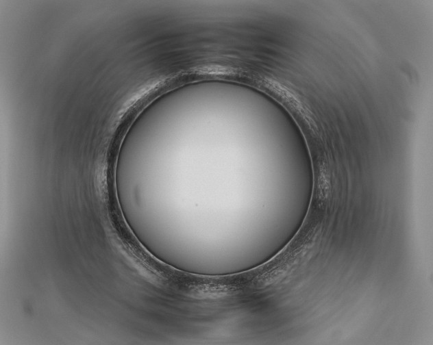 X0000112470535200908311352