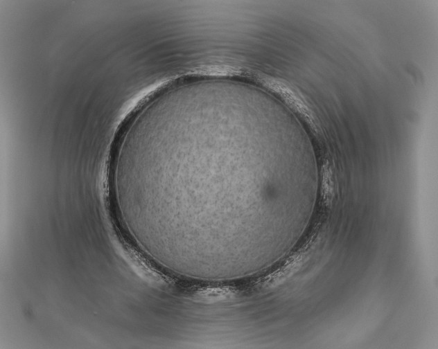 X0000112470536200908311352