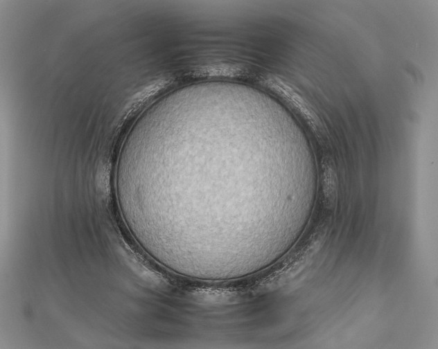 X0000112470537200908311352