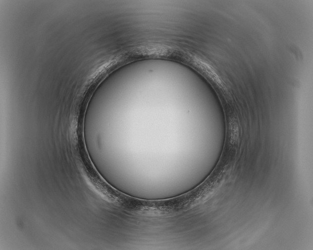 X0000112470538200908311352