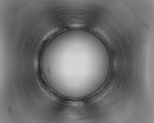 X0000112470539200908311352