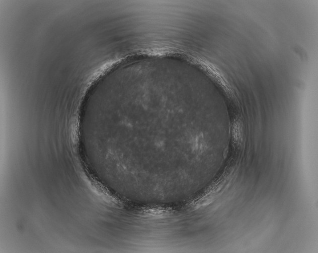 X0000112470540200908311352