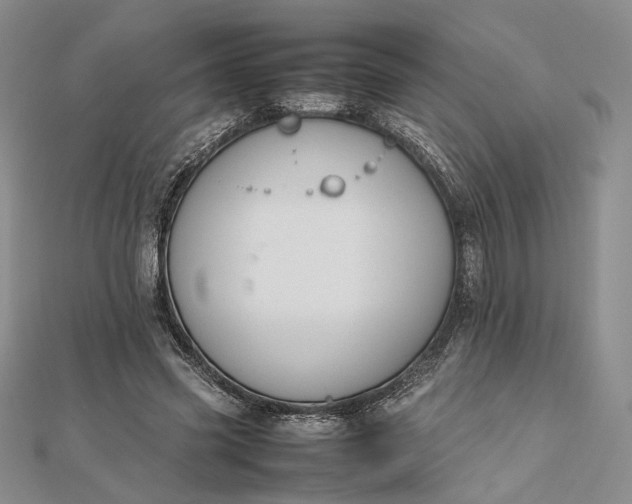 X0000112470541200908311352