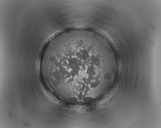 X0000112470542200908311352