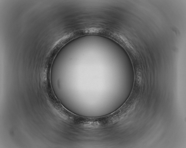 X0000112470543200908311352