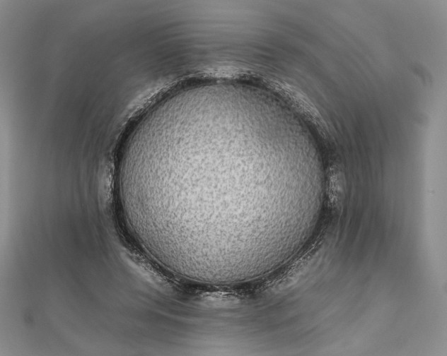 X0000112470544200908311352