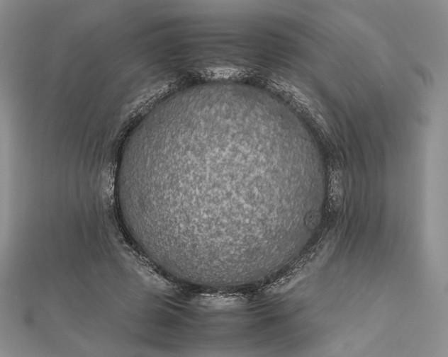 X0000112470545200908311352