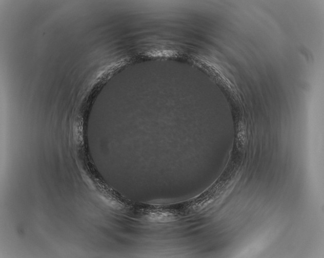 X0000112470547200908311352