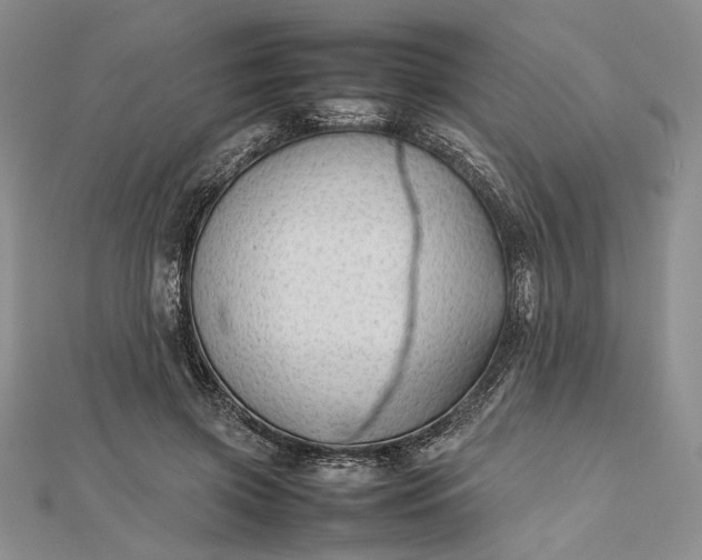 X0000112470549200908311352