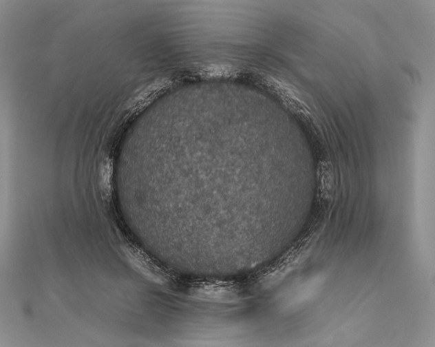 X0000112470550200908311352