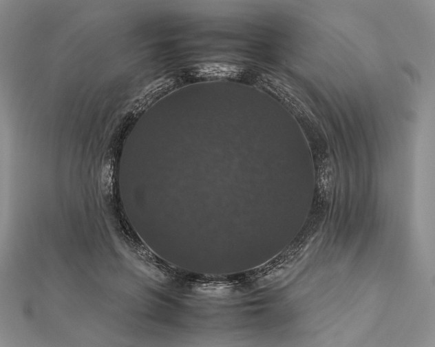 X0000112470551200908311352