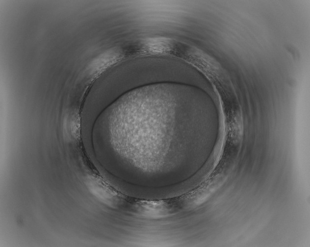 X0000112470552200908311352