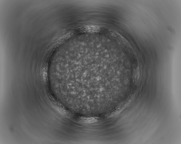 X0000112470553200908311352