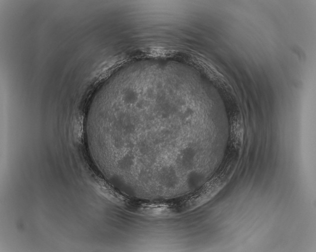 X0000112470554200908311352