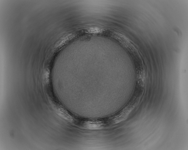 X0000112470556200908311352