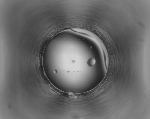 X0000112470558200908311352