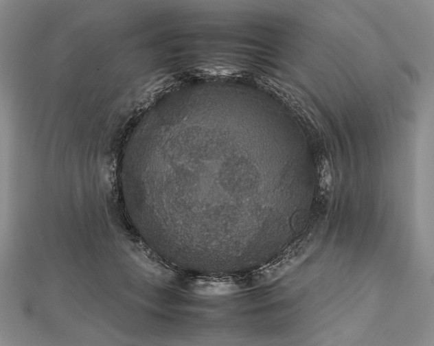 X0000112470559200908311352