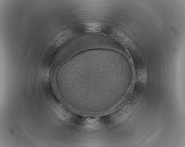 X0000112470560200908311352