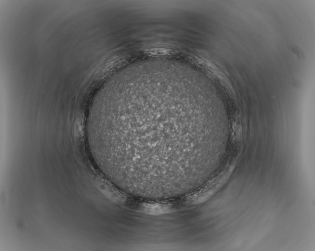 X0000112470561200908311352