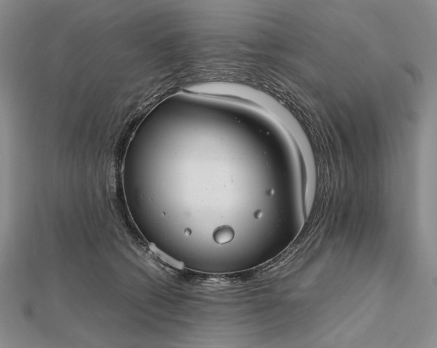 X0000112470562200908311352