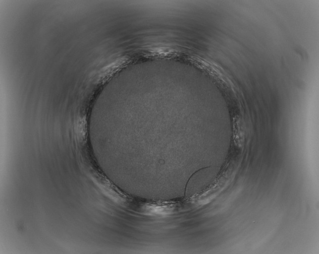 X0000112470563200908311352