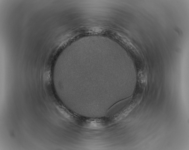 X0000112470564200908311352