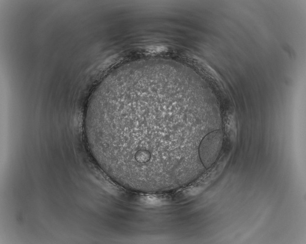 X0000112470565200908311352