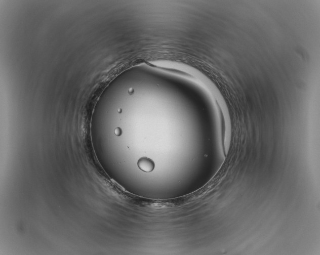 X0000112470566200908311352