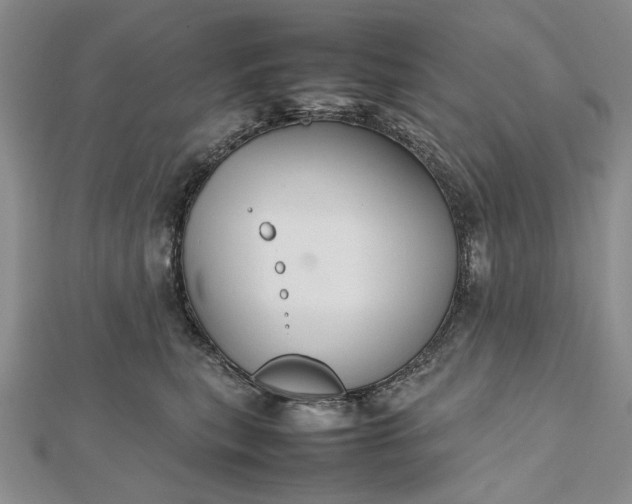 X0000112470567200908311352