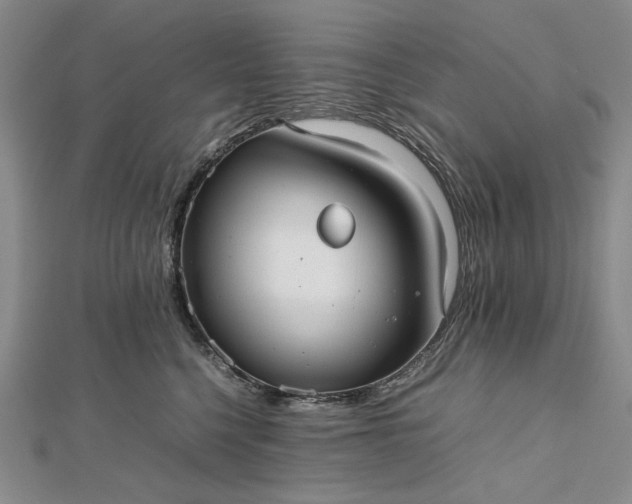 X0000112470568200908311352